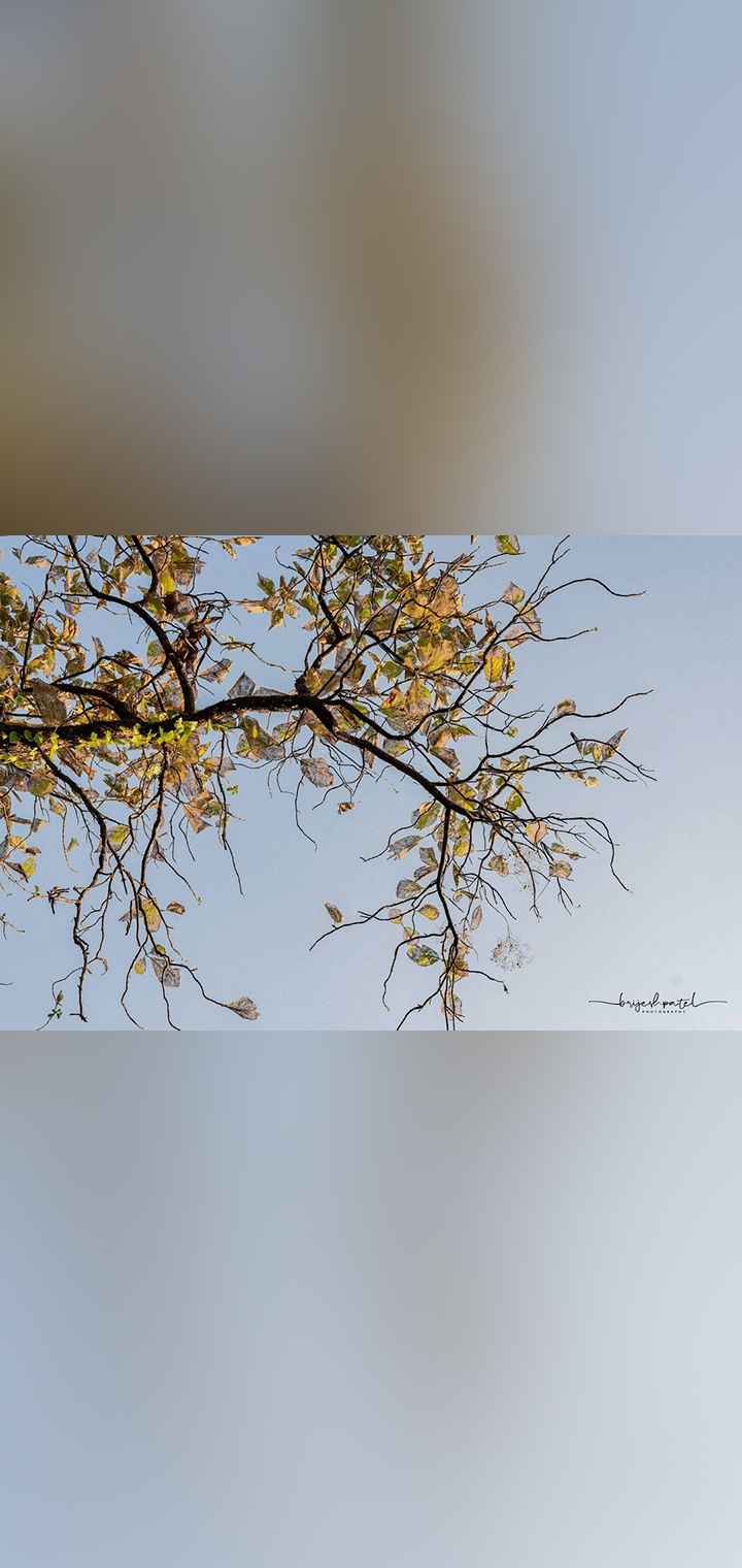 Brijesh Patel Photography Pose Image
