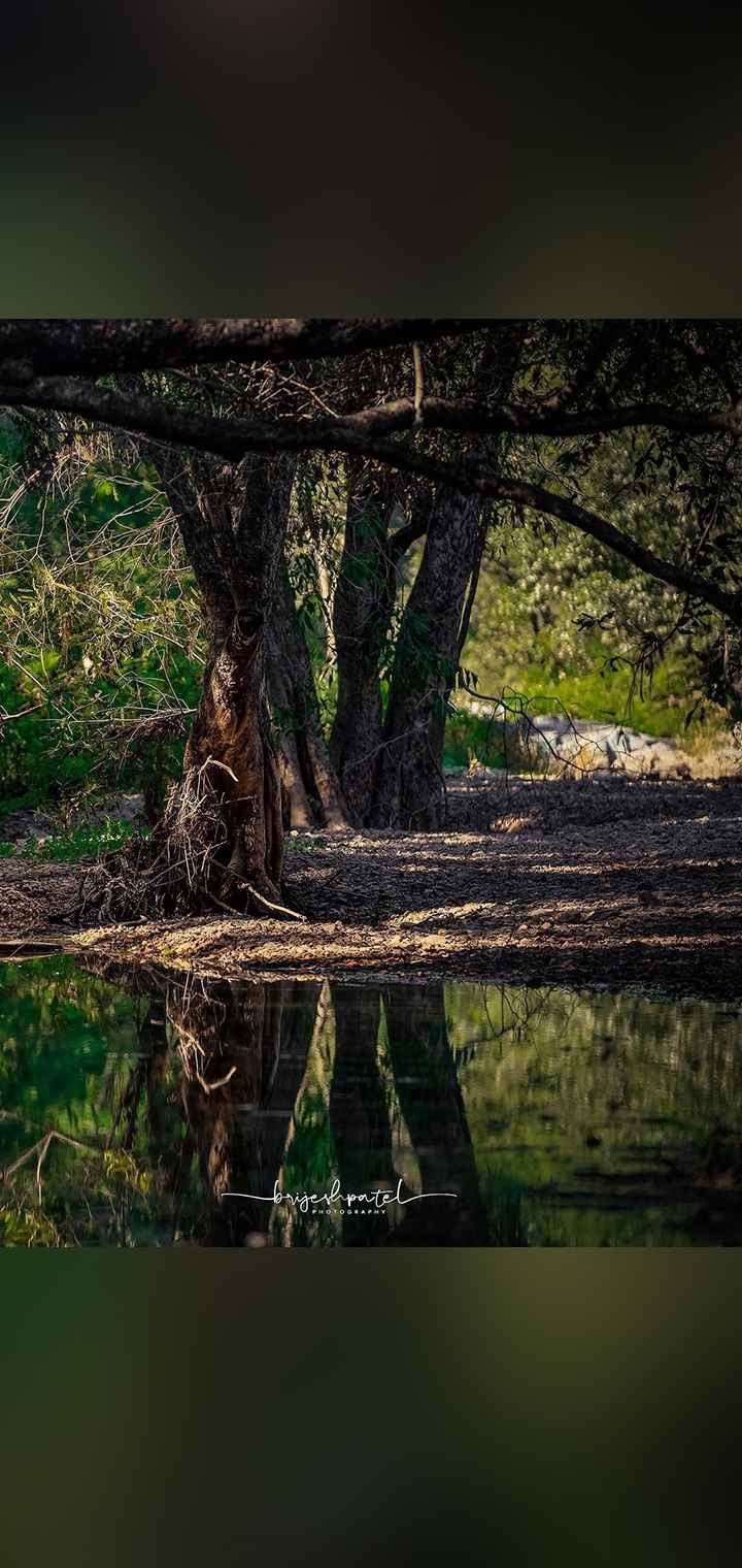 Brijesh Patel Photography Pose Image