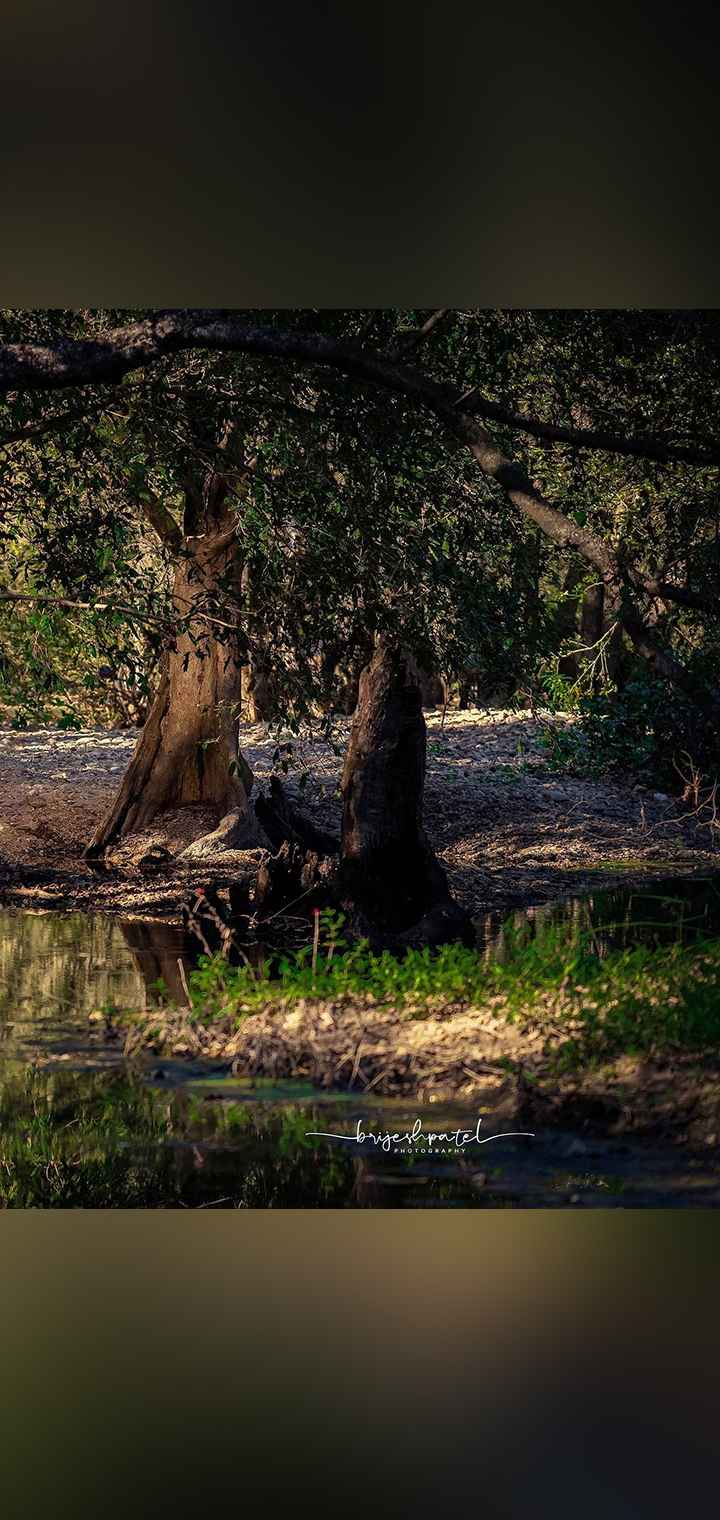Brijesh Patel Photography Pose Image