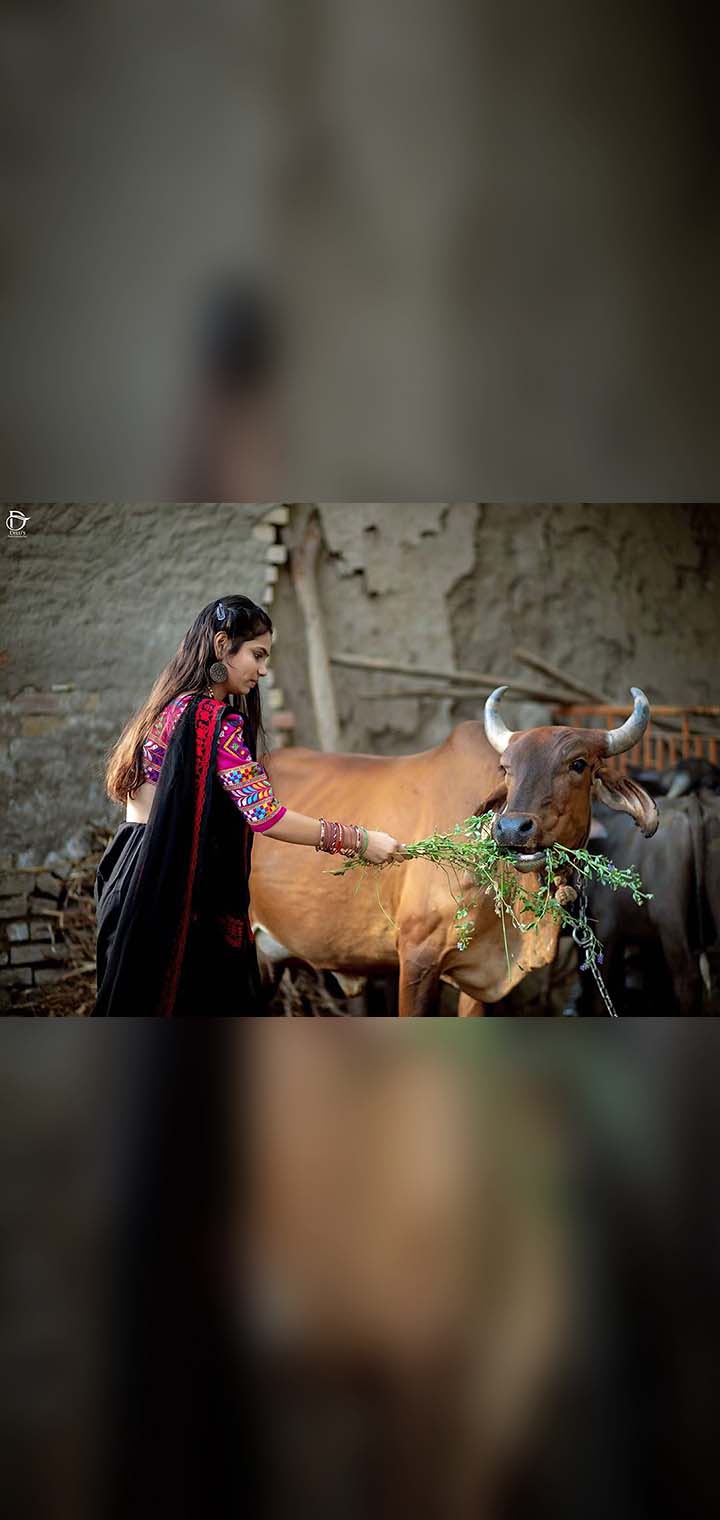Dilus Photography Pose Image