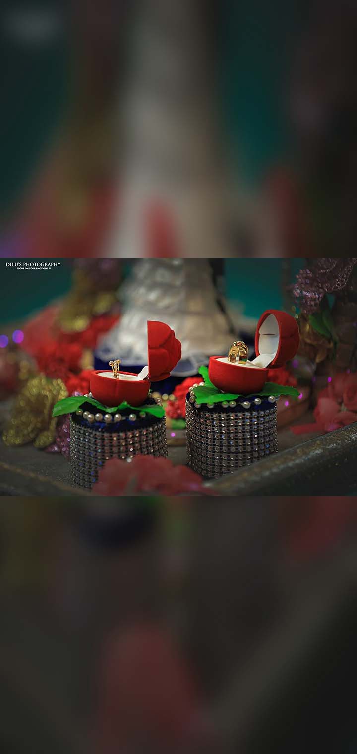 Dilus Photography Pose Image