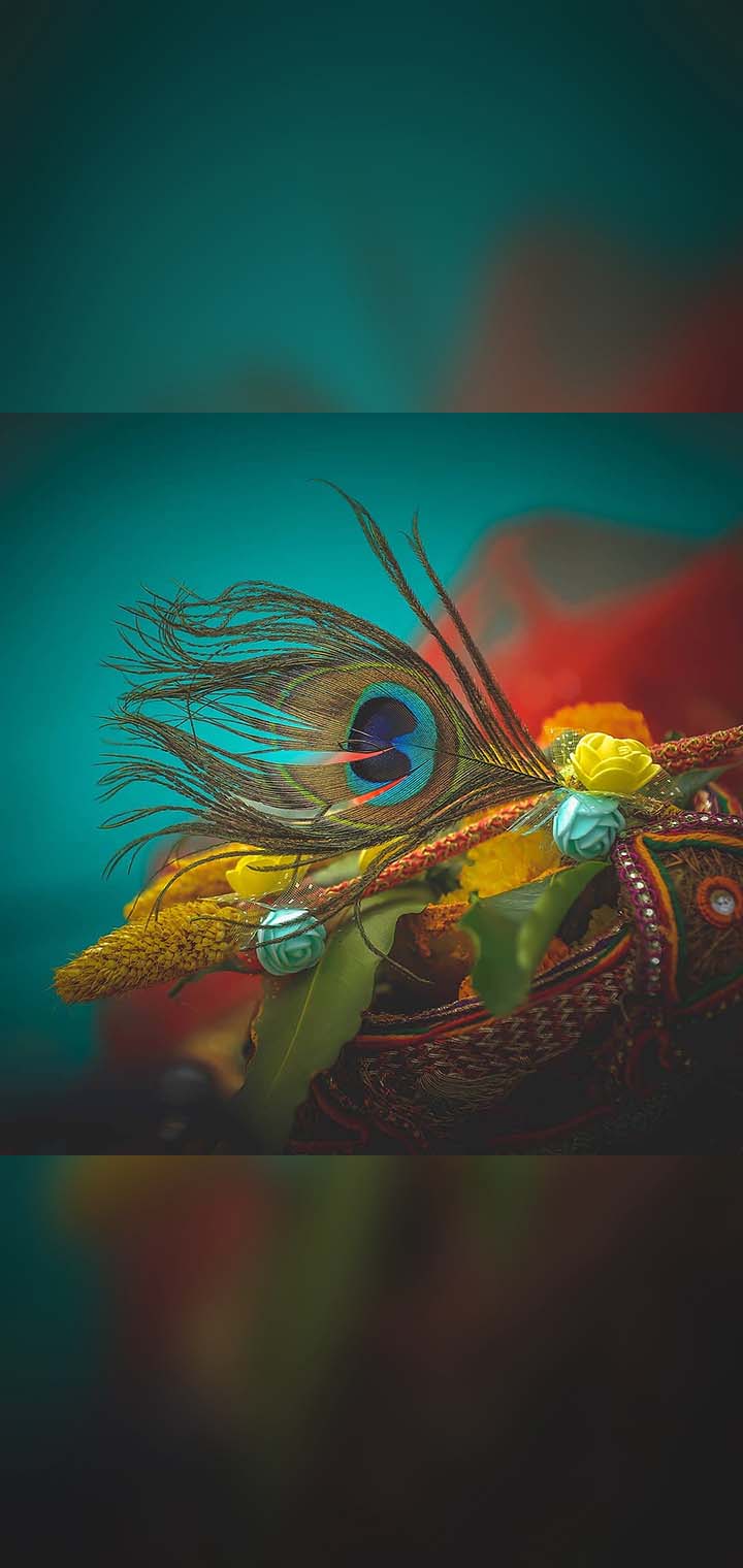 Dilus Photography Pose Image